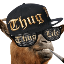 2pac's Avatar