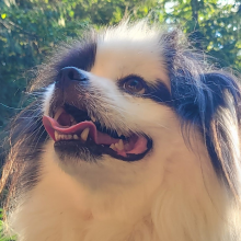 CassAttack's Avatar