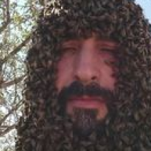 IAMNOTMIKE's Avatar