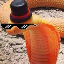JuanPablox36003's Avatar