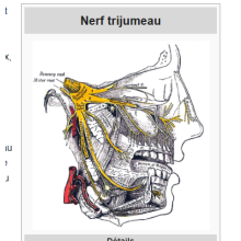 Magouille's Avatar