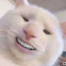 Pacharachol's Avatar