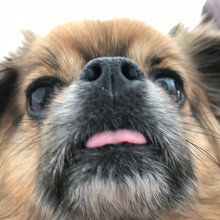 Paul's Avatar