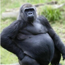 VasiliiKudinov's Avatar