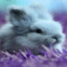 fluffyrabbit's Avatar