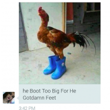 hammah's Avatar
