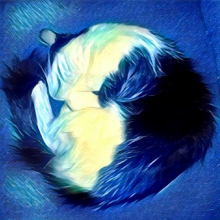 hecel's Avatar