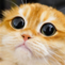mrfoefoeman's Avatar