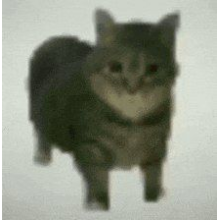 vnevo's Avatar