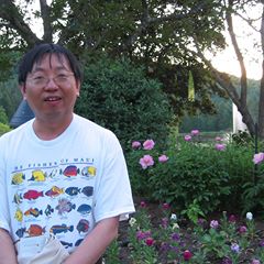 yungwah's Avatar